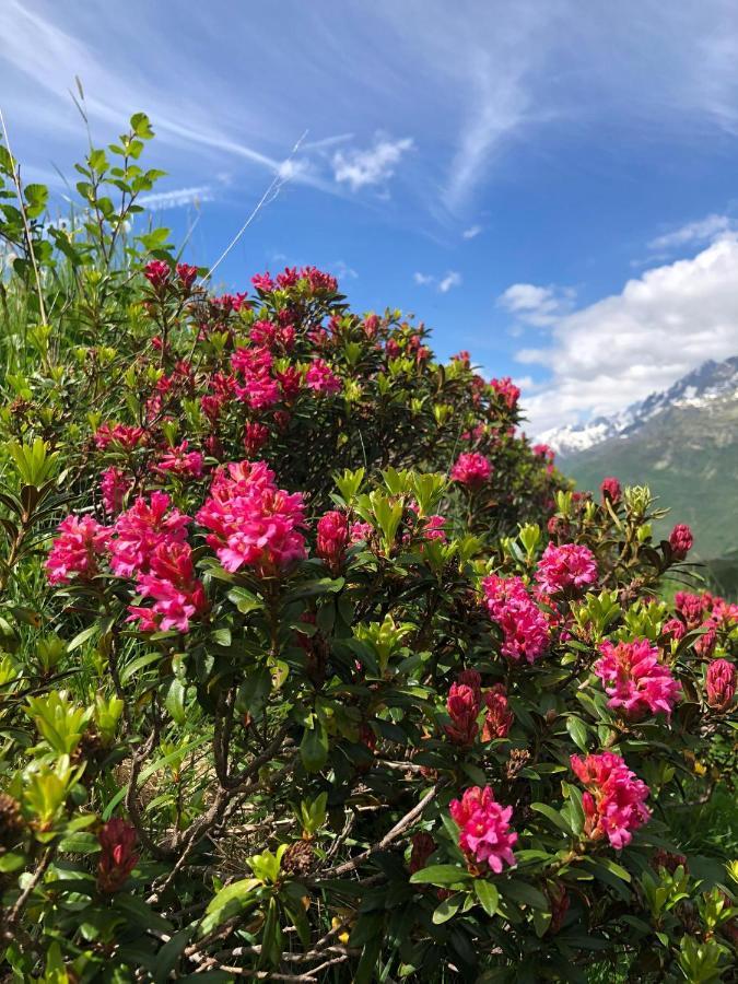 Privatzimmer / Bed & Breakfast Andermatt Extérieur photo