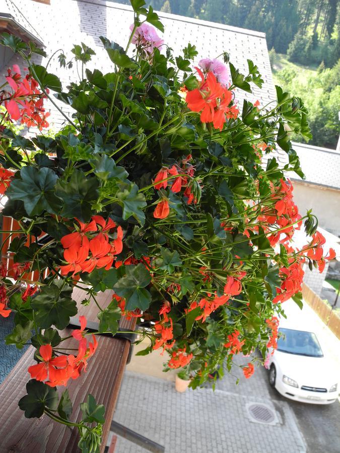 Privatzimmer / Bed & Breakfast Andermatt Extérieur photo